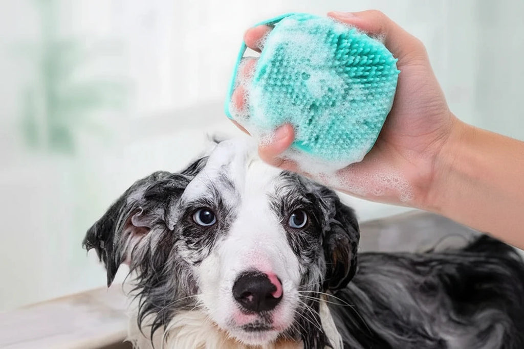 CORYNCO™ Spazzola Premium in Silicone per Cani e Gatti