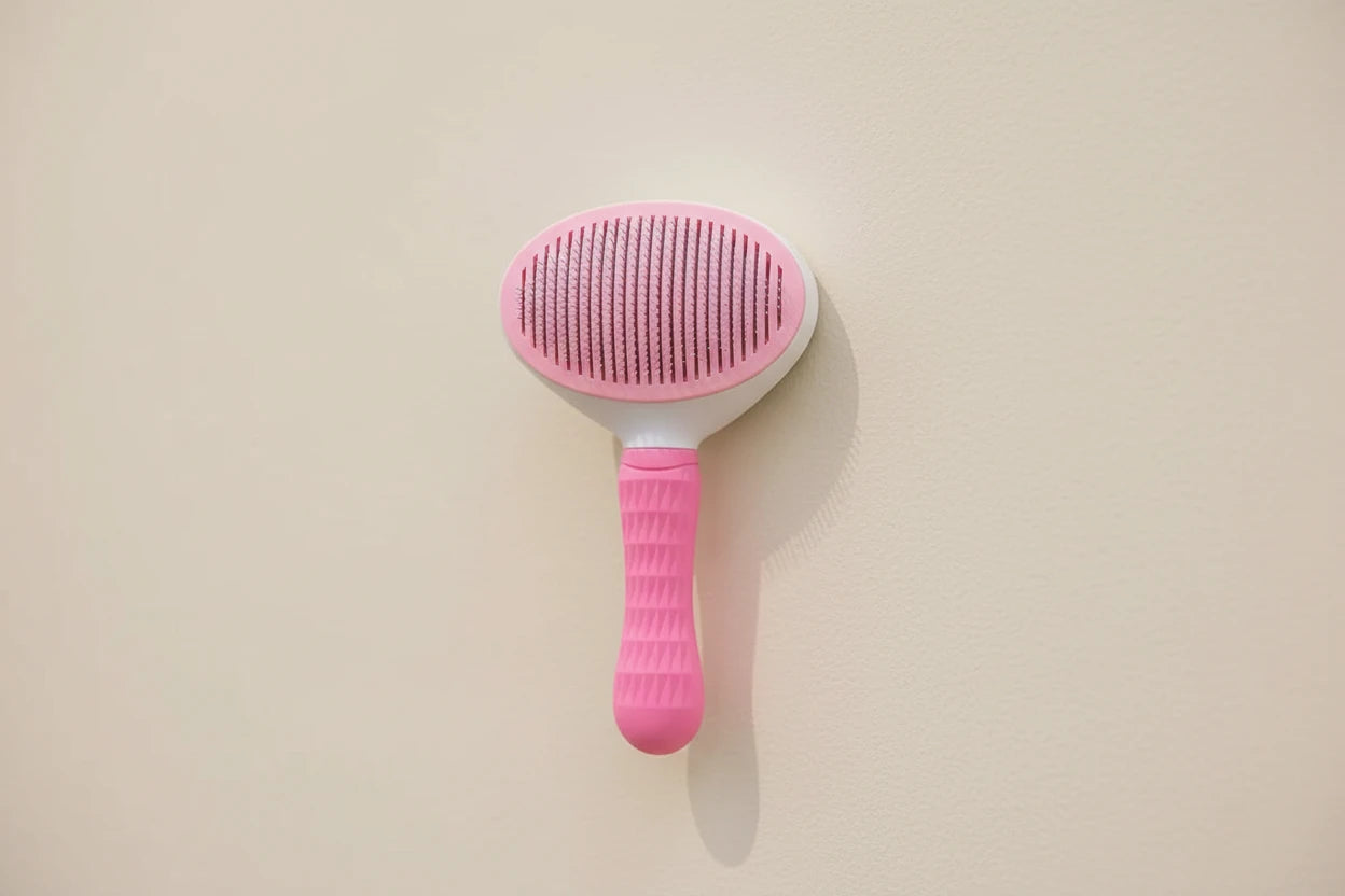 CORYN™ Pettine Autopulente per Rimozione Peli