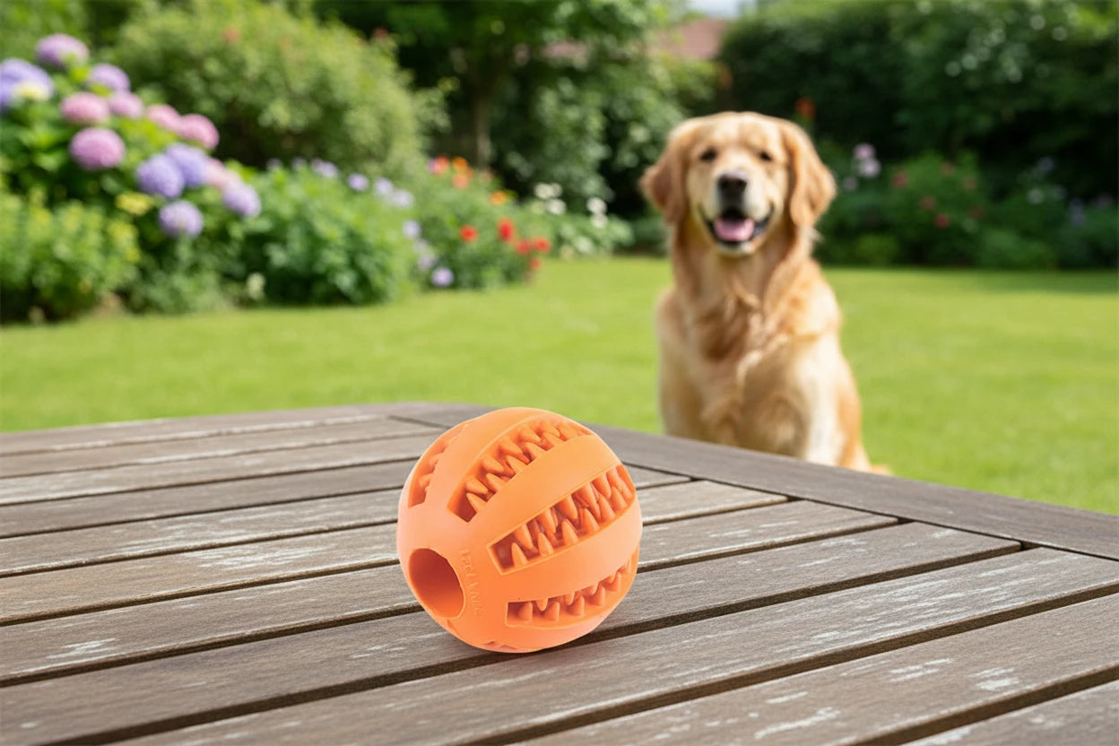 CORYNCO™ Palla per la Pulizia dei Denti in Gomma Naturale - Gioco Interattivo per Cani e gatti